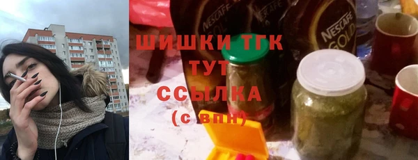 дмт Богданович