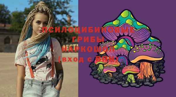 дмт Богданович