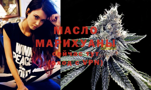 ECSTASY Богородицк