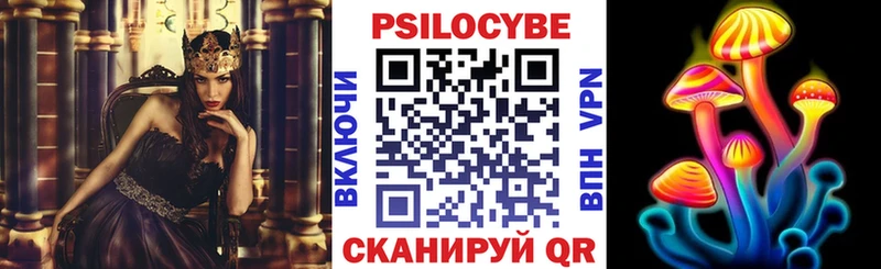 Галлюциногенные грибы Cubensis где найти Бежецк
